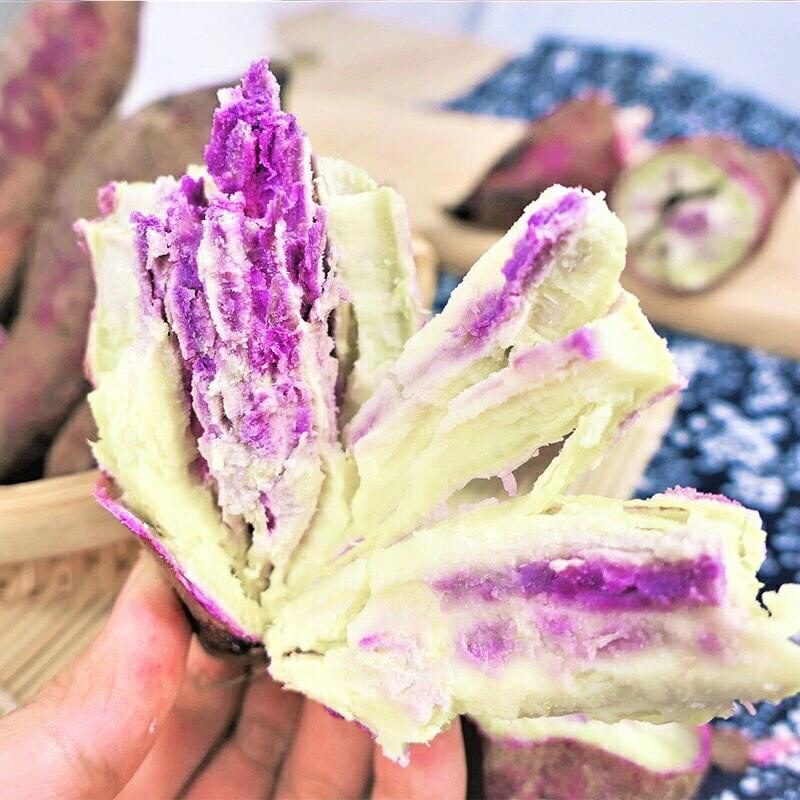 冰淇淋红薯新鲜一点红紫薯地瓜当季糖心板栗薯包邮代发