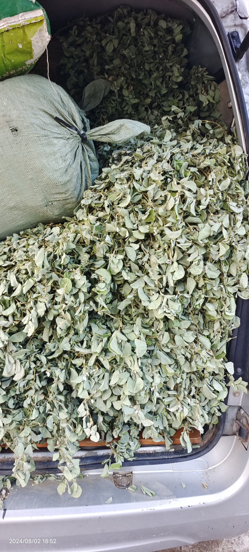 广金钱草，晒干青青绿绿色，水洗无泥沙，无杂草，成条靓靓货