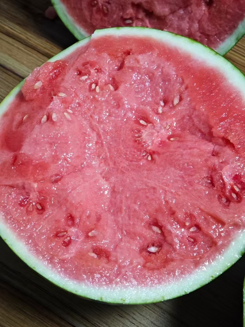 无籽美都西瓜
