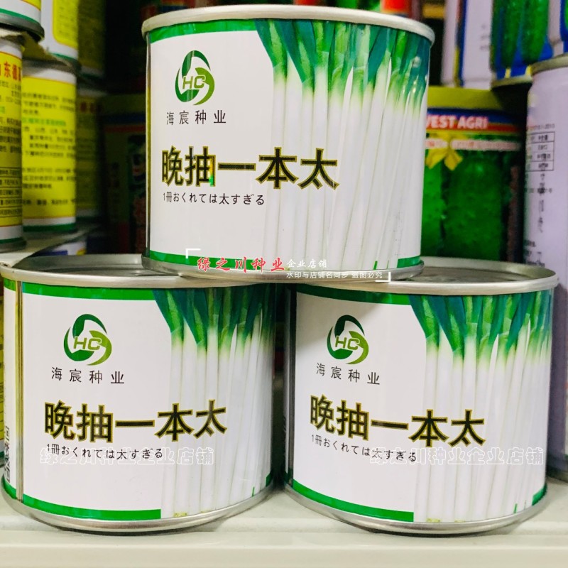 晚抽一本太大葱种子晚抽薹大葱新品种抗病耐寒耐热耐涝返青早