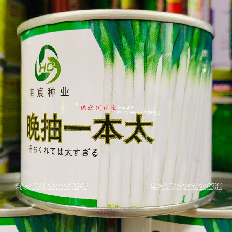 晚抽一本太大葱种子晚抽薹大葱新品种抗病耐寒耐热耐涝返青早