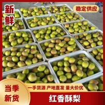 精品红香酥梨，口感脆甜卖相好产地直供可视频看货