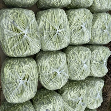 甘肃天水白芸豆