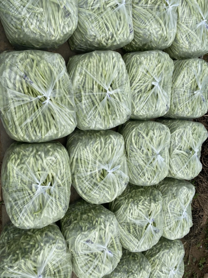 甘肃天水白芸豆