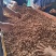 四川宜宾自贡新鲜带泥巴花生水洗花生精选高品质电商批发！