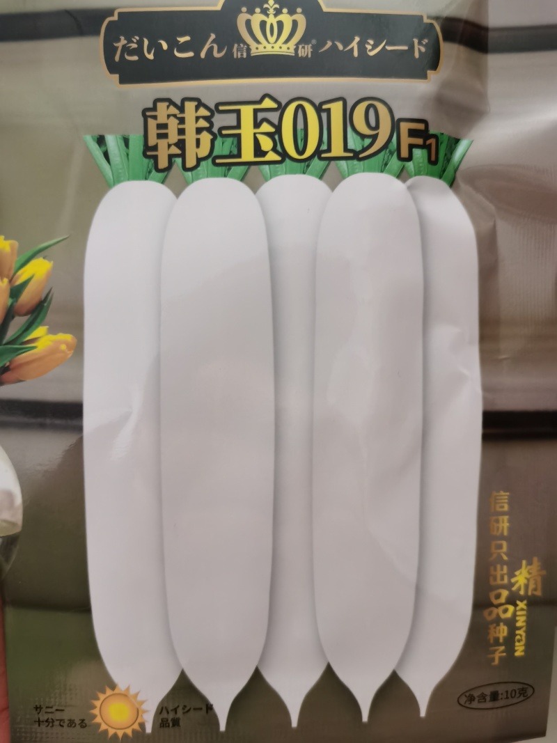 红星全季韩玉109君川格雅希望18水果萝卜