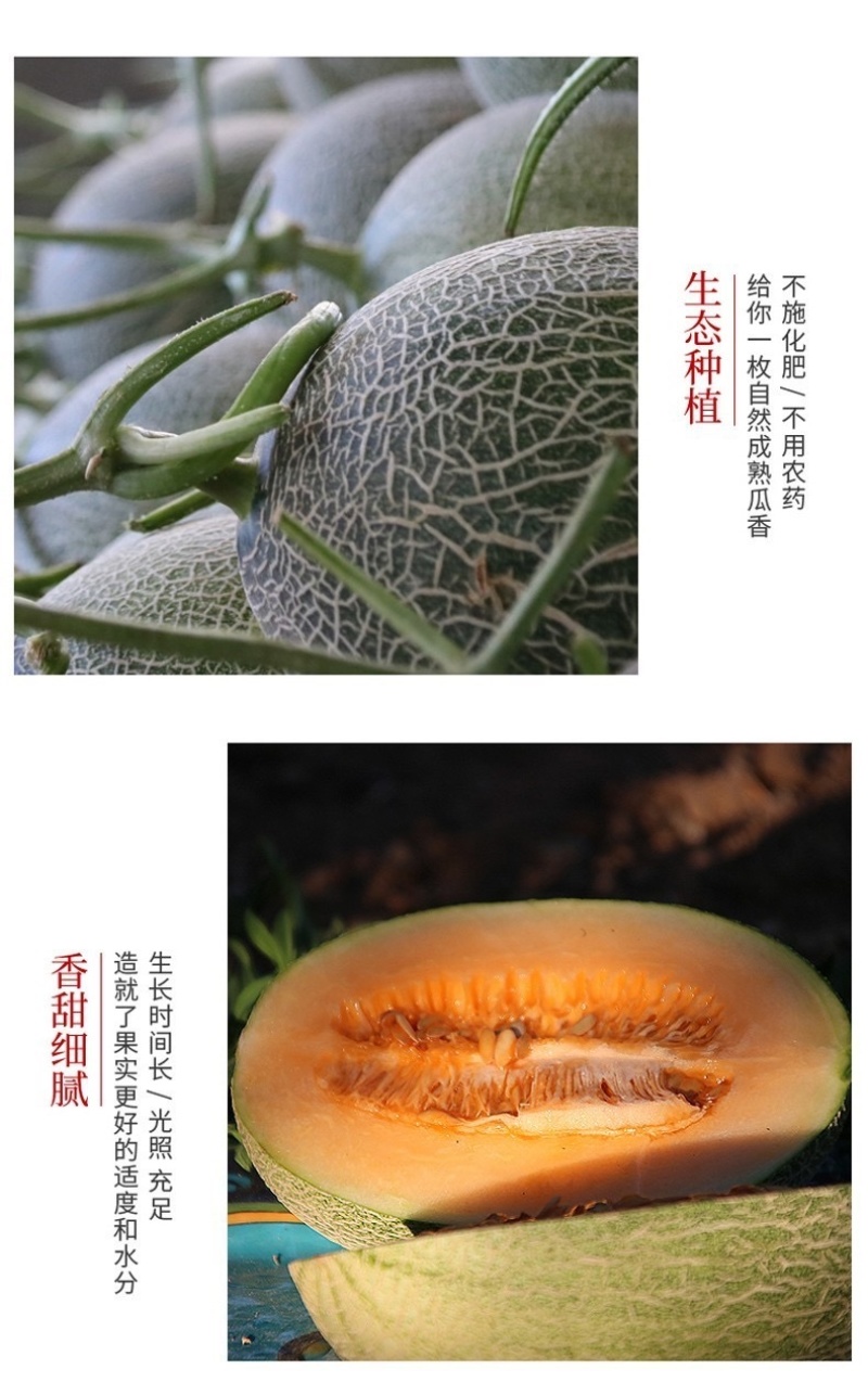哈密瓜超甜新鲜水果网纹蜜瓜整箱当季水果