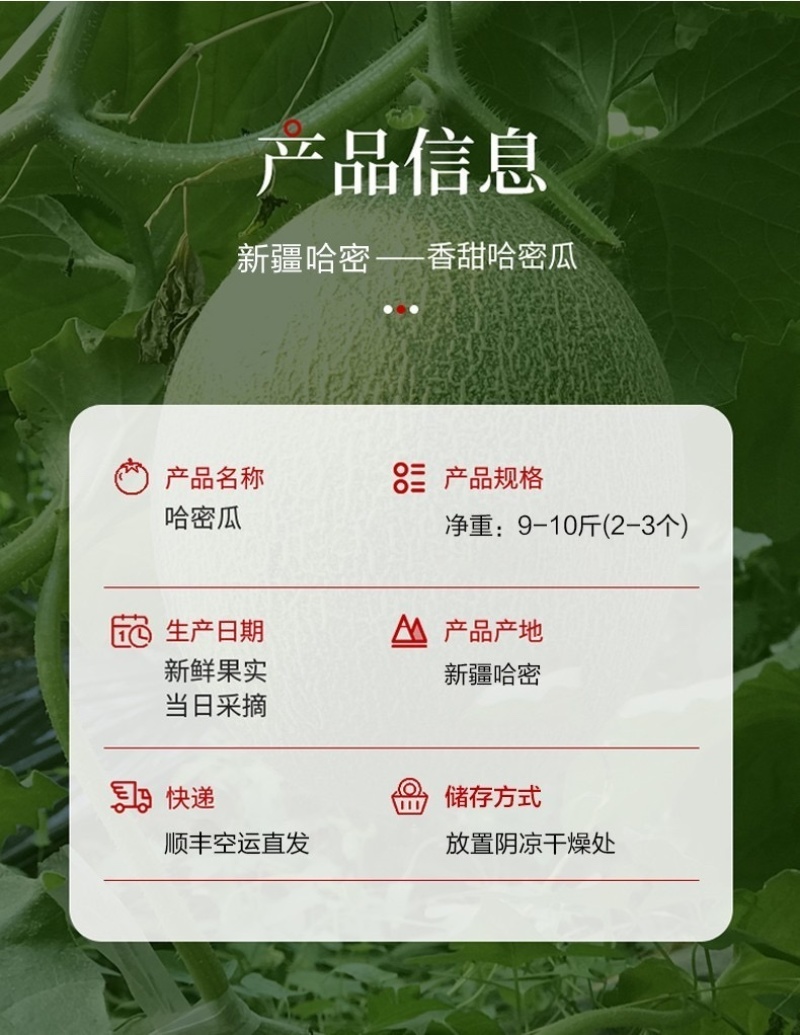 哈密瓜超甜新鲜水果网纹蜜瓜整箱当季水果