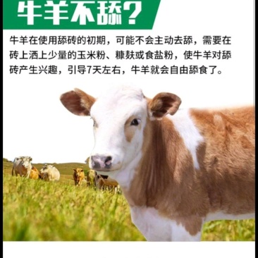 河北厂家直销彩箱含量不一样牛羊舔块，健胃助消化型，