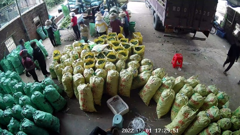广东省英利镇辣椒代购中心螺丝椒陇椒尖椒线椒