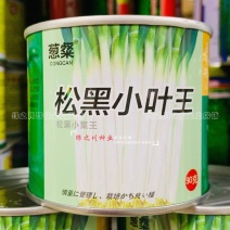 松黑小叶王大葱种子耐热耐寒基地专用大葱种籽大田山东大葱籽