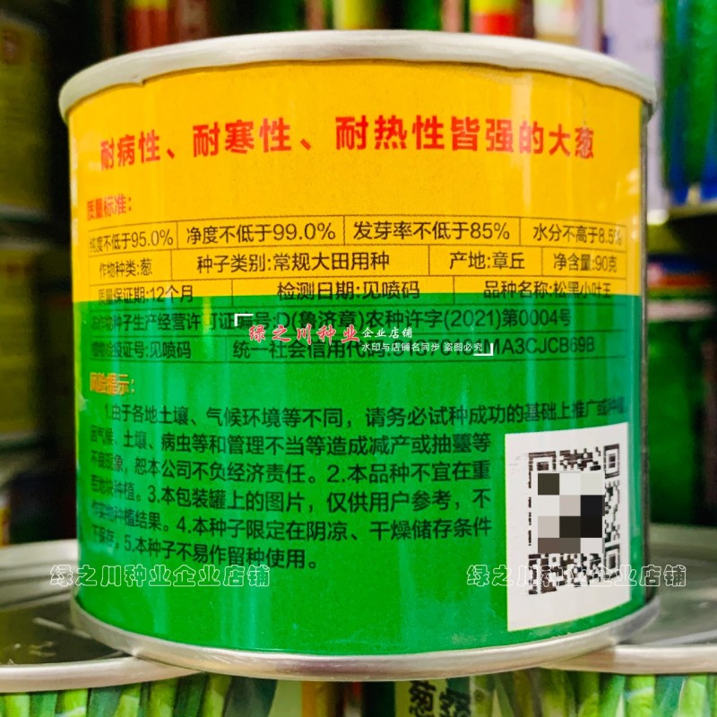 松黑小叶王大葱种子耐热耐寒基地专用大葱种籽大田山东大葱籽