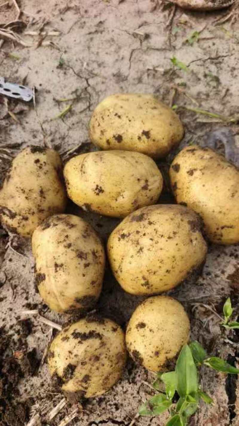 精品实验一大量上市，质量好价格合理全国发货一手货源