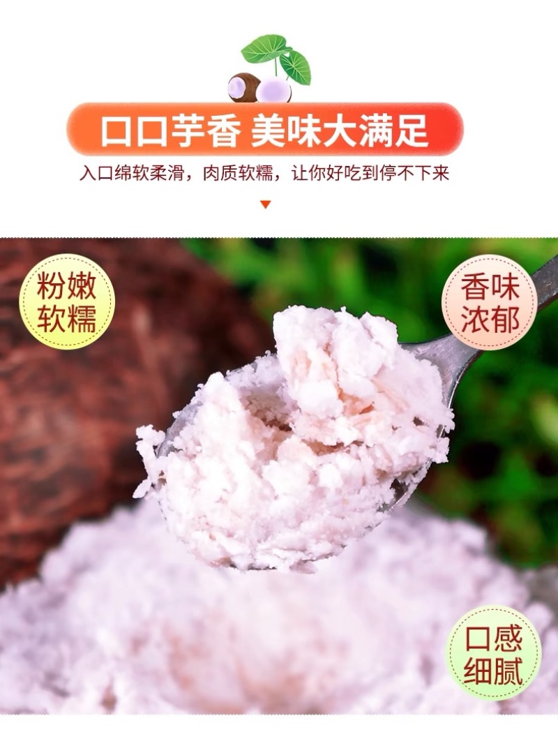 广西荔浦大芋头新鲜香芋农家毛芋整箱代发