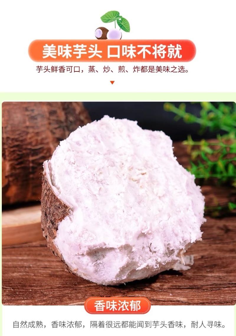 广西荔浦大芋头新鲜香芋农家毛芋整箱代发