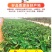 广西荔浦大芋头新鲜香芋农家毛芋整箱代发