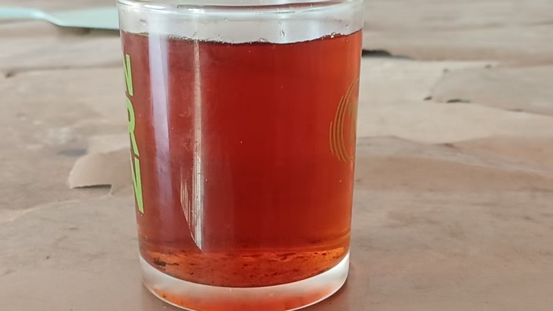 【推荐】四川老鹰茶供应保健茶茶叶火锅店专用