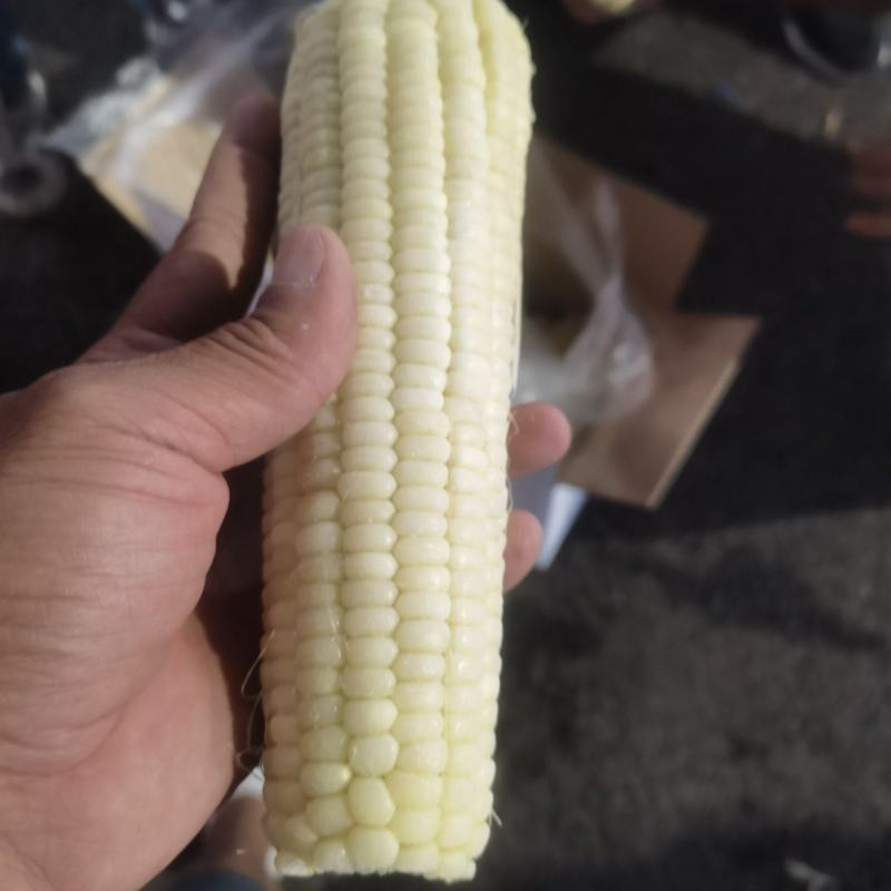 粘玉米（熟）