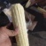 粘玉米（熟）