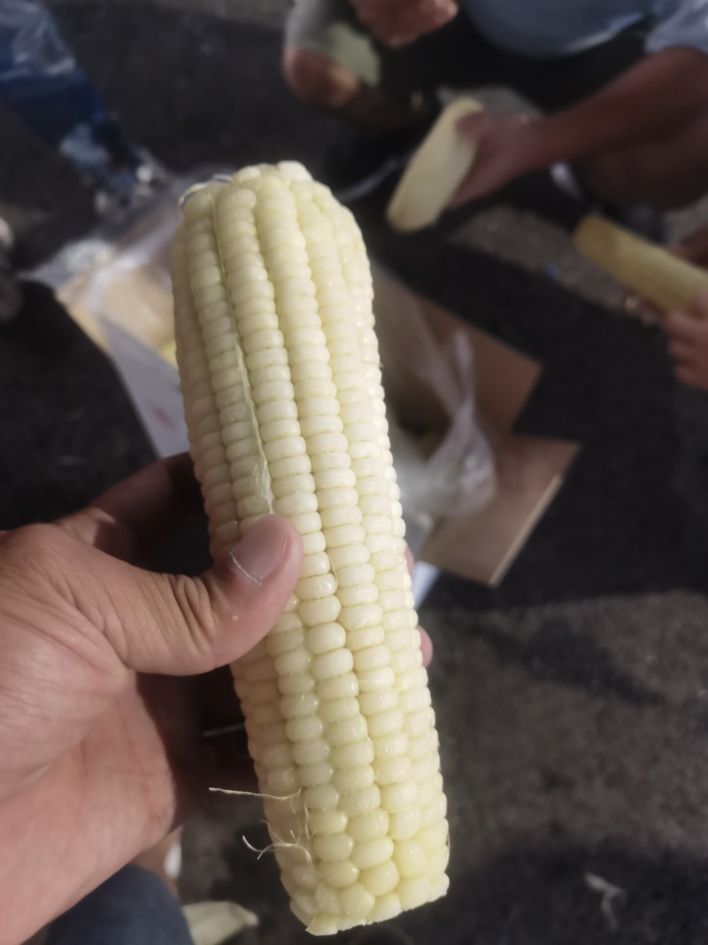 粘玉米（熟）
