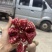 会理突尼斯软籽石榴饮料果电商果对接饮料厂