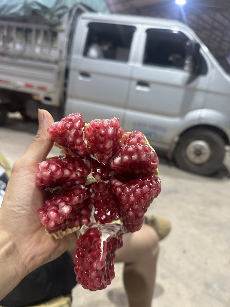 会理突尼斯软籽石榴饮料果电商果对接饮料厂
