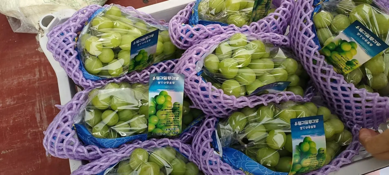 阳光玫瑰，多年老店，长期供应，诚信经营