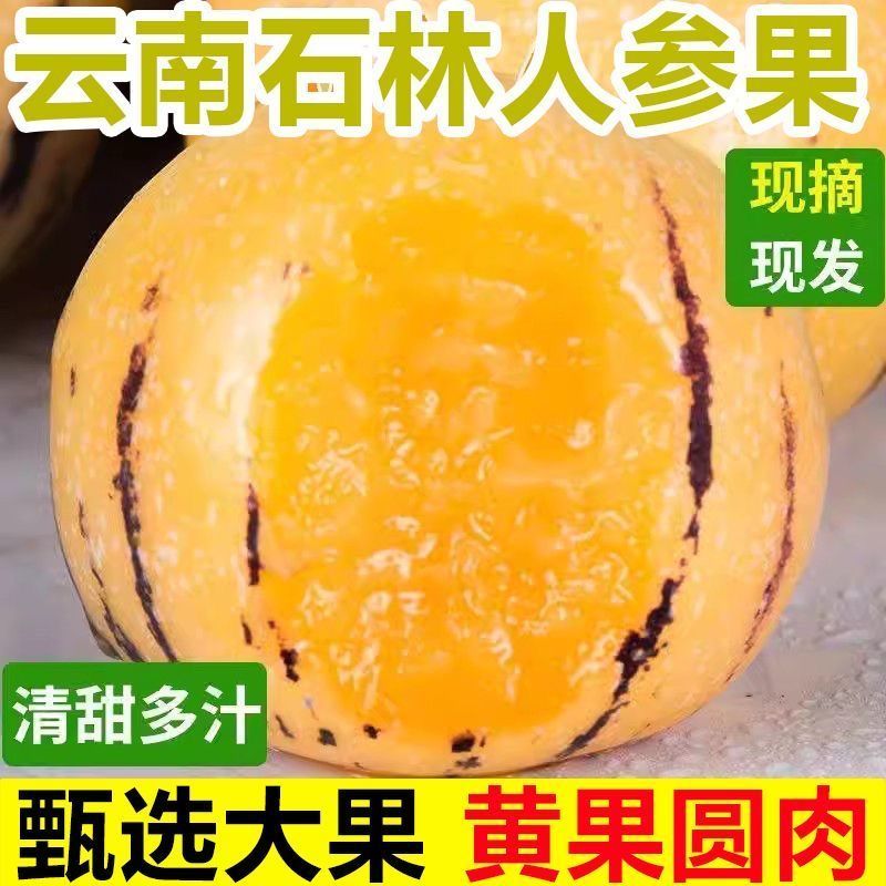 云南石林人参果