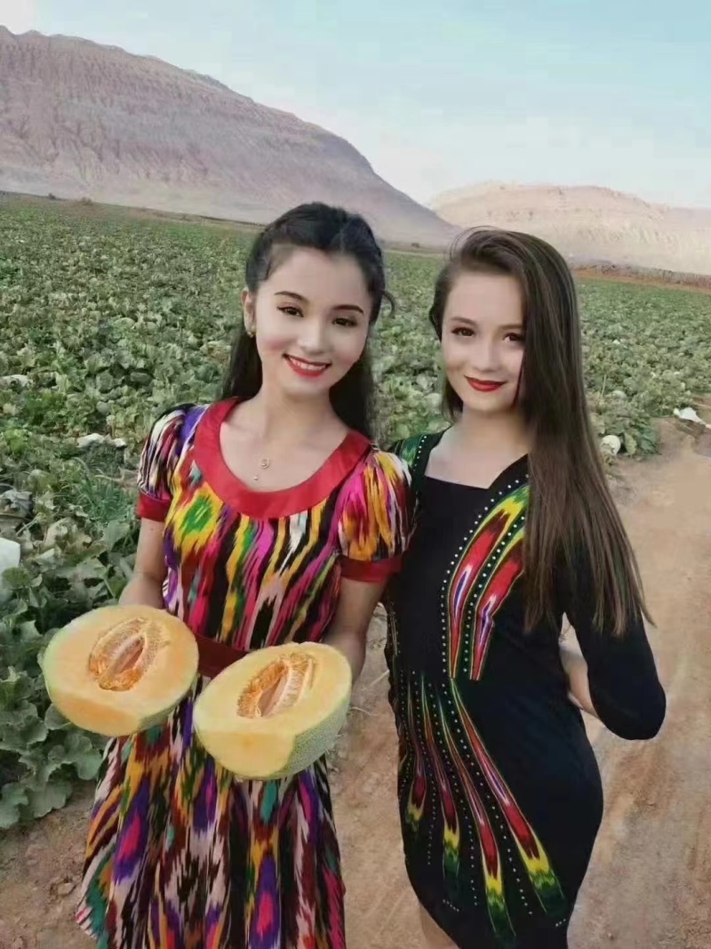 海南晓蜜产地直发，保质保量，诚信经营，量大从优