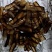 东北特产吉林鹿角残腊片