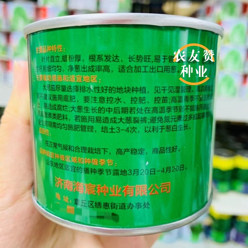 松黑小叶王大葱种子山东铁杆大葱种子耐寒耐热钢葱种子