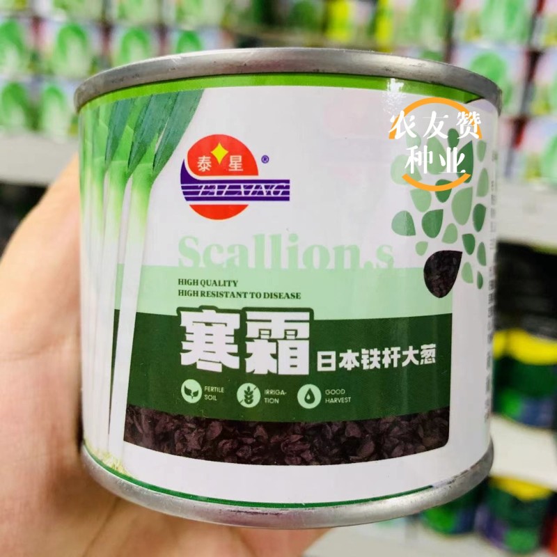 寒霜大葱种子日本铁杆大葱种籽葱白长耐热耐寒钢葱种子山东