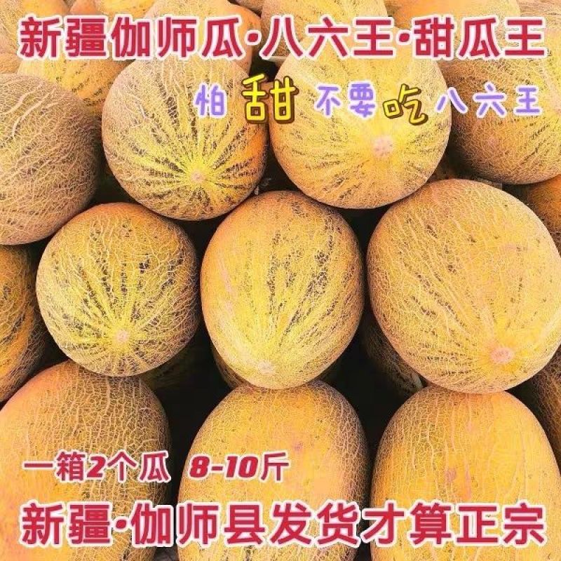 正宗新疆八六王哈密瓜产地直发甜度高诚信合作全国发货