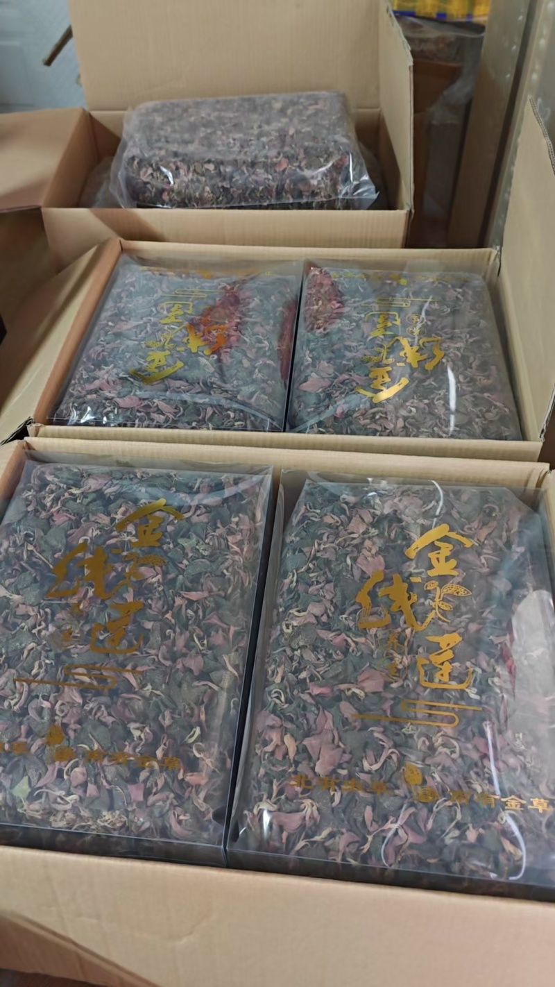 金线莲茶，多年经营，基地直供欢迎联系，批发零售都可以发货