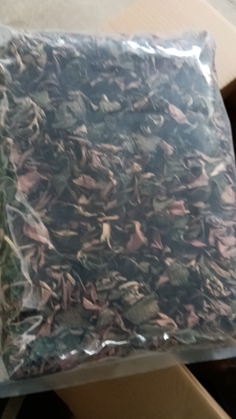 金线莲茶，多年经营，基地直供欢迎联系，批发零售都可以发货