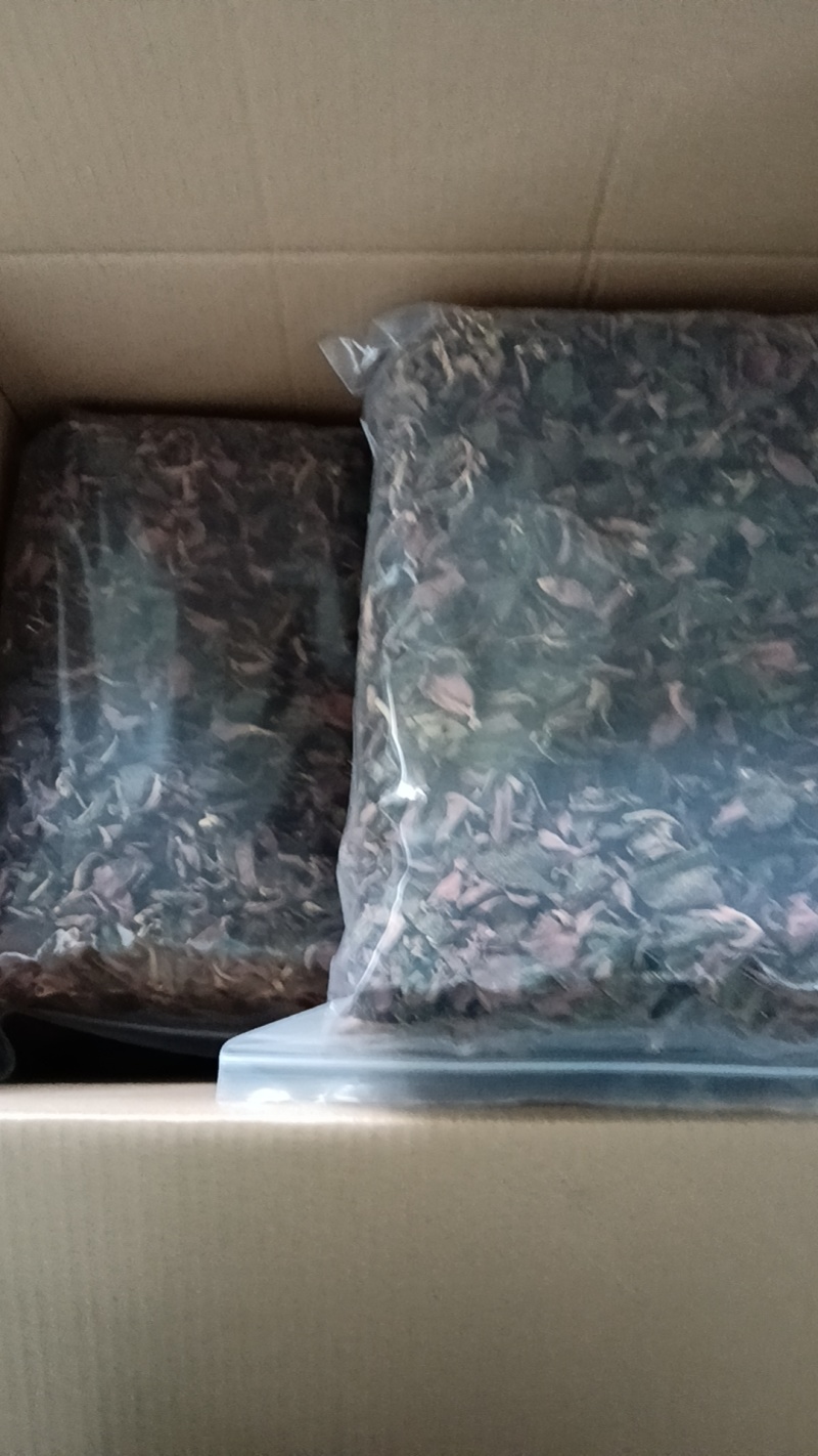 金线莲茶，多年经营，基地直供欢迎联系，批发零售都可以发货