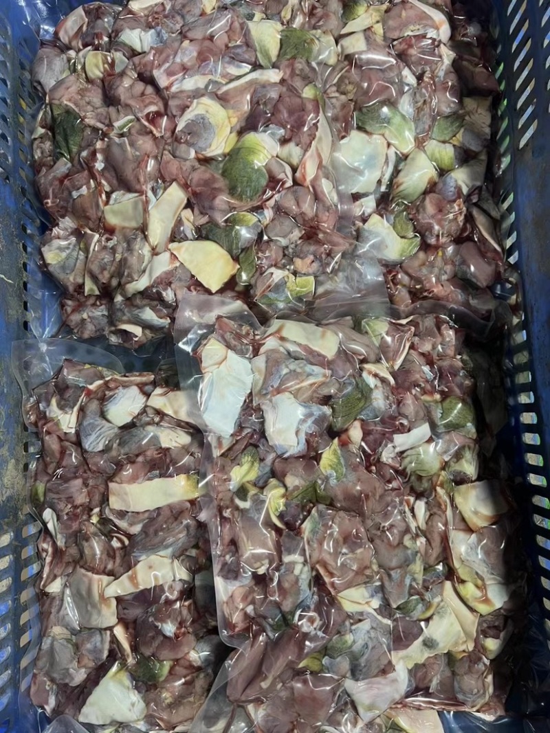 餐饮食材甲鱼纯肉，可定制
