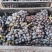 榨汁做酒夏黑葡萄大量有货切丁果脯批发团购对接各大平台电商