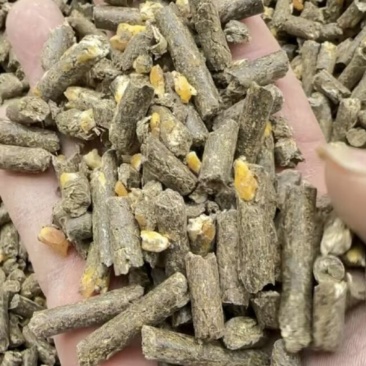 纯花生秧颗粒现场加工