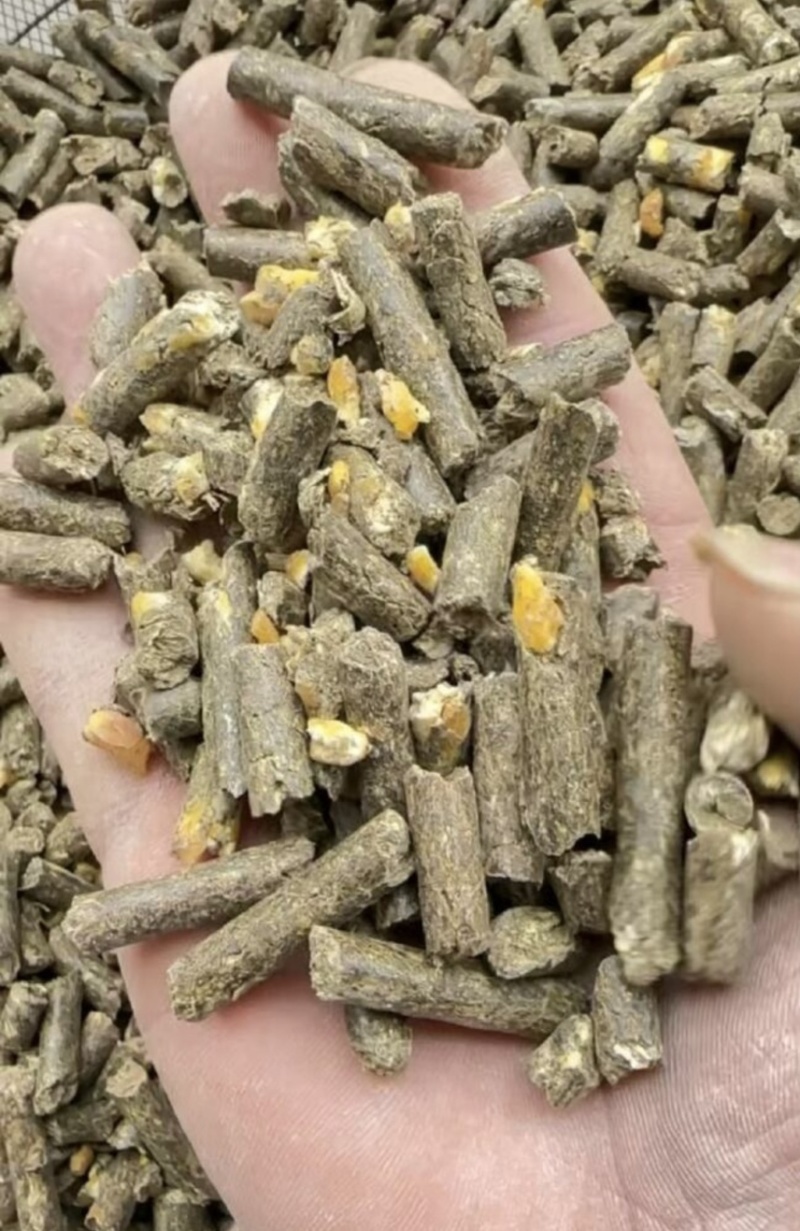 纯花生秧颗粒现场加工