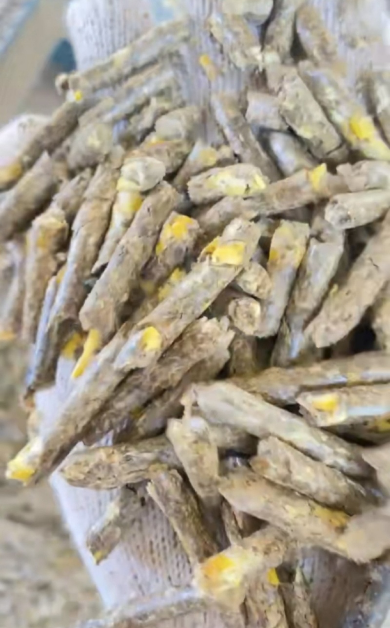 纯花生秧颗粒现场加工