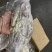 青蟹青蟹排西非蓝蟹海洋蟹螃蟹