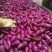 紫薯精品电商货，提供各种规格包装，每天可装9.6米一车