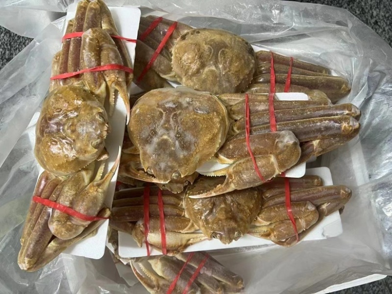 松叶蟹板蟹长腿蟹活冻高品质板蟹海洋蟹螃蟹长腿蟹