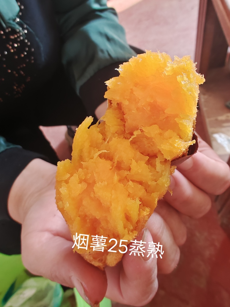 冰糖芯蜜薯龙薯保质保量量大从优一条龙服务