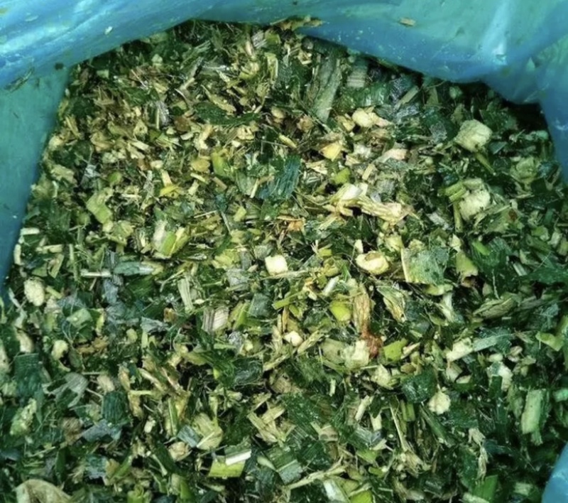 全青玉米青储秸秆饲料，一次成型，不添加水无土无霉变