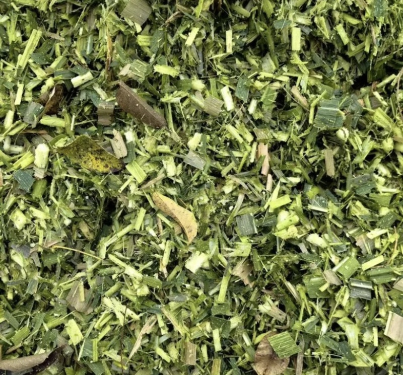 全青玉米青储秸秆饲料，一次成型，不添加水无土无霉变