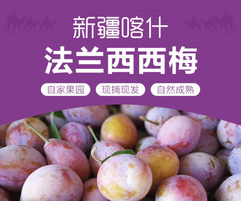 【新疆法兰西梅】正中新疆伽师西梅2公斤小件装