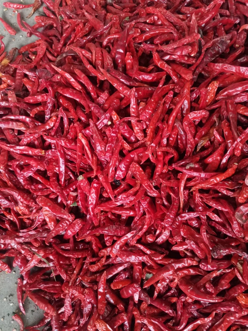 天宇艳椒816918高辣朝天椒红小米辣大量供应