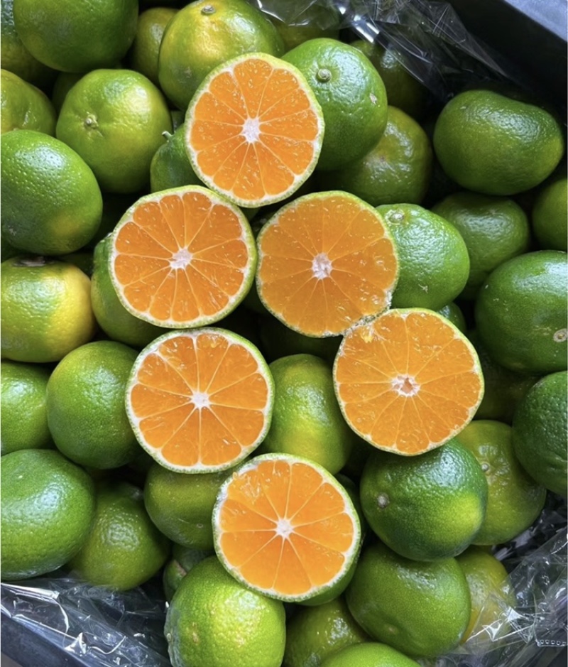 【精选】湖北蜜橘皮薄多汁-可对接商超-基地直发